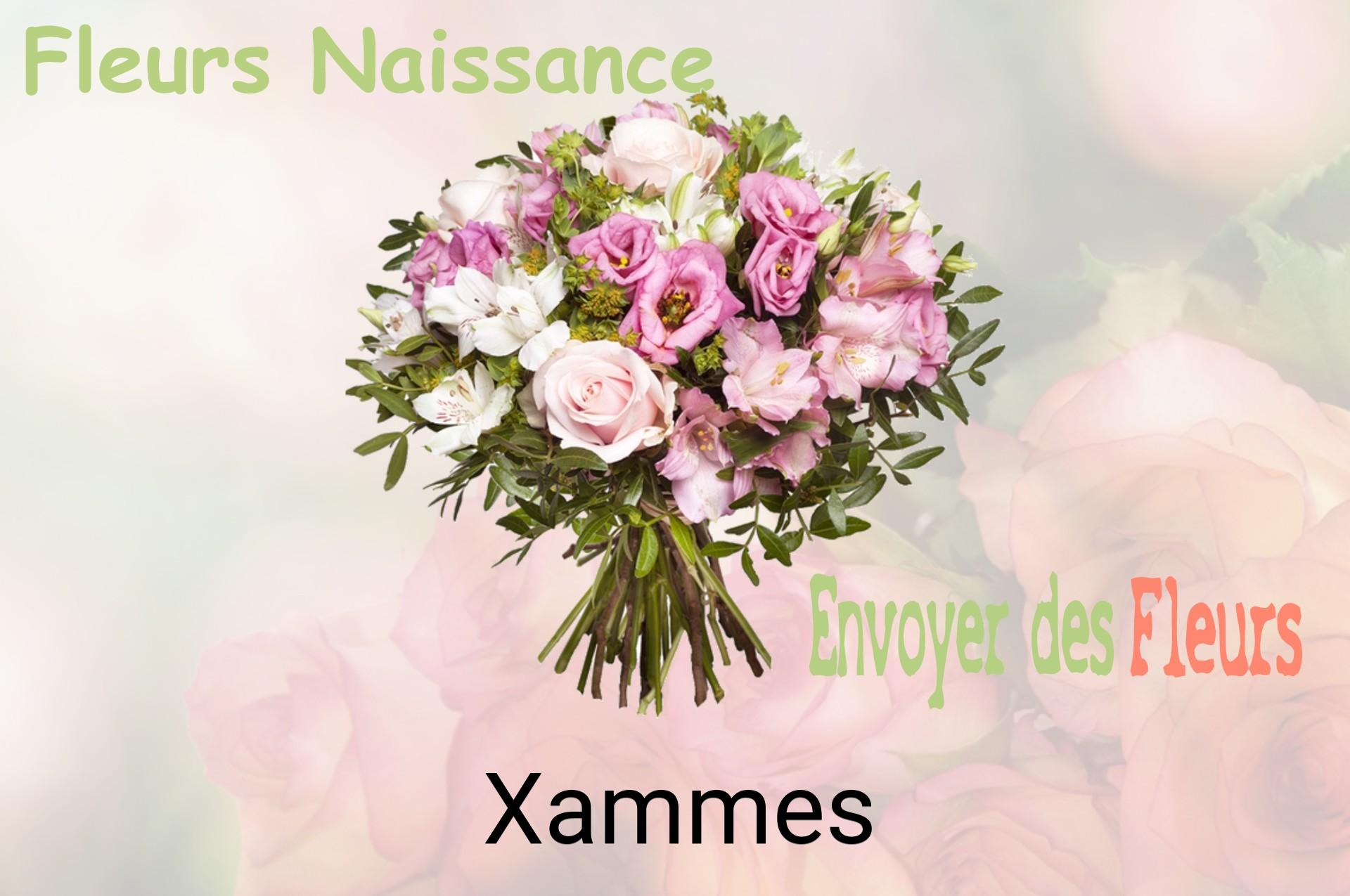 Bouquet de fleurs de naissance livré à Xammes